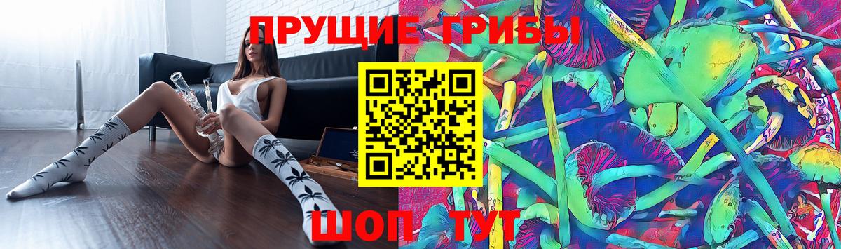 Псилоцибиновые грибы Cubensis Воркута