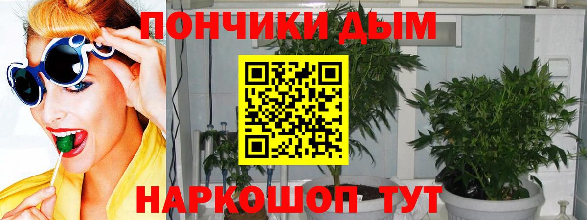Конопля план Воркута
